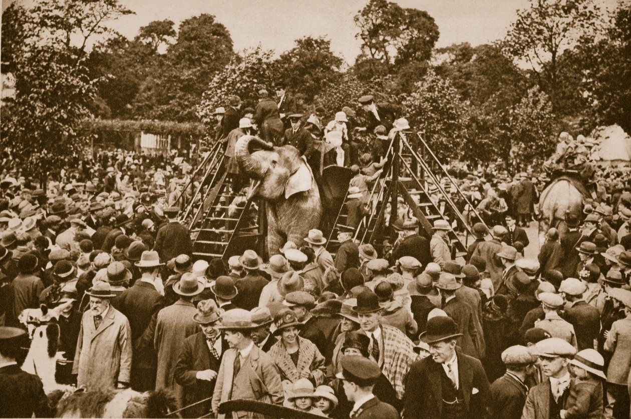 Passeios de animais no zoológico de Londres (foto sépia) de English Photographer