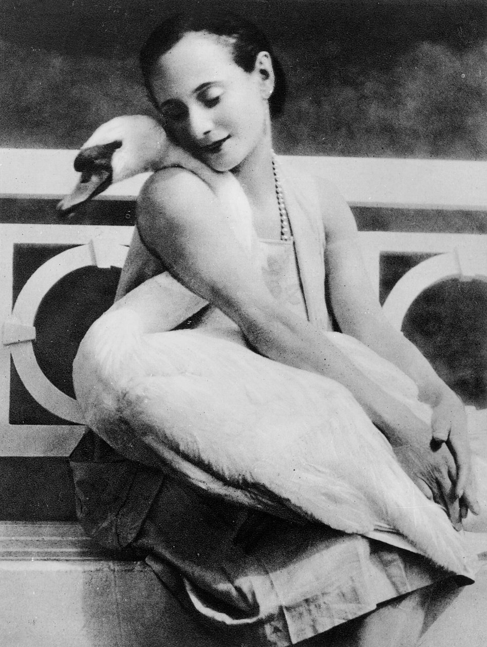 Anna Pavlova com seu cisne de estimação Jack, c.1905 de English Photographer