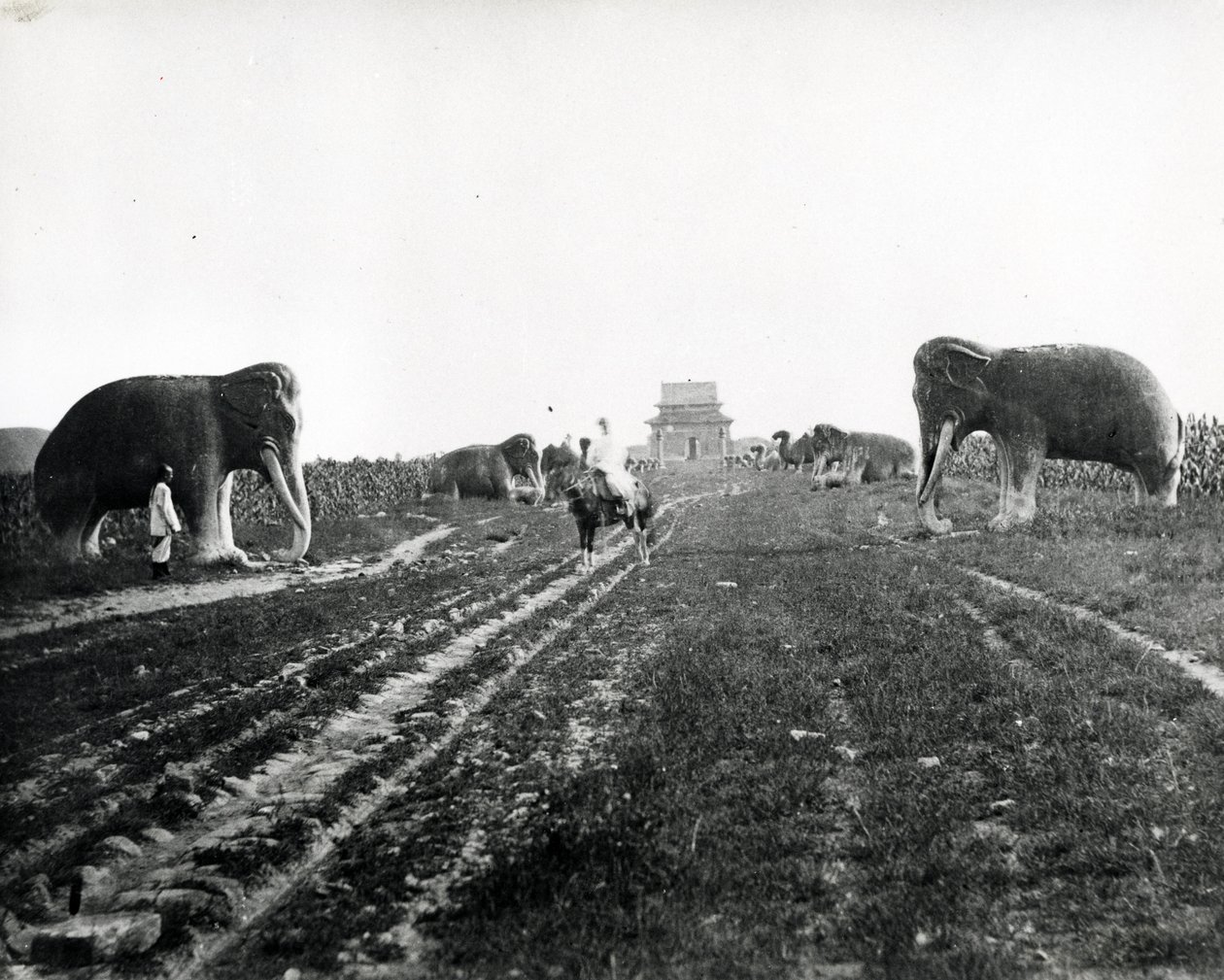 Avenida dos animais guardiões que conduzem aos túmulos de Ming, Peking, c.1868-70 de English Photographer