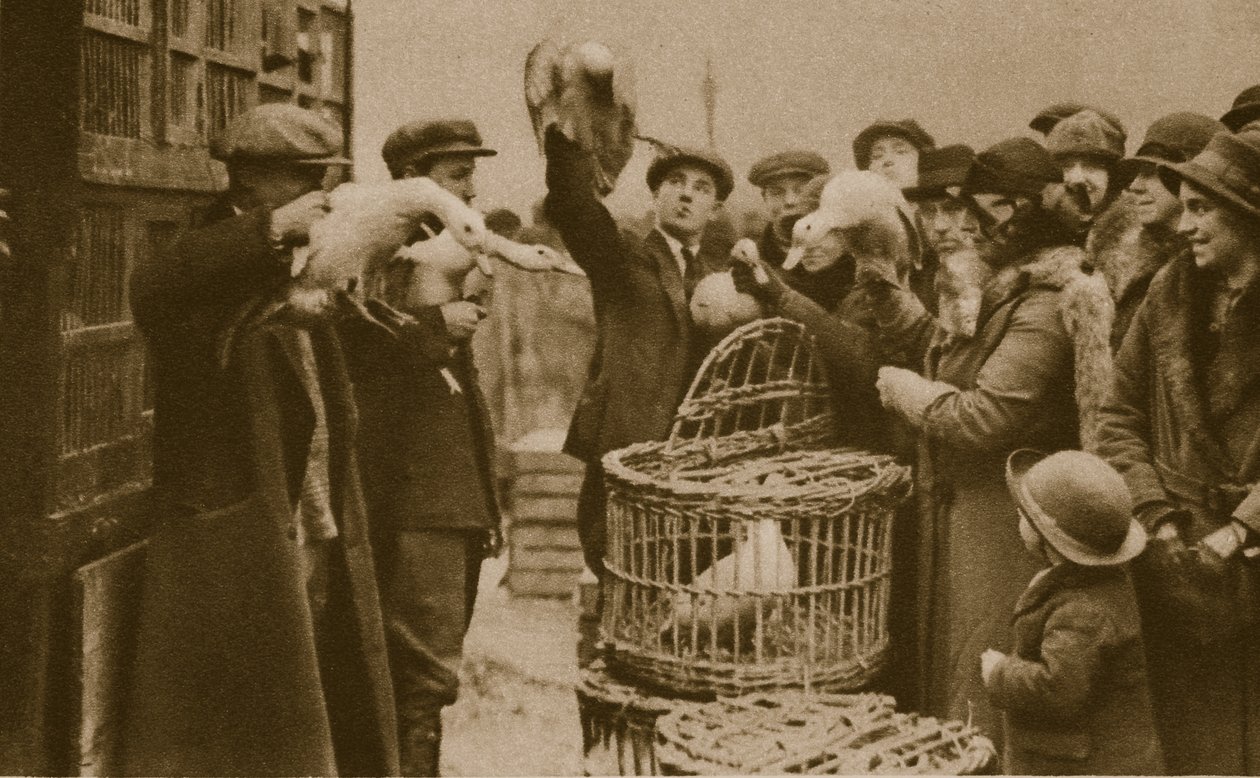 Compra de aves vivas em um mercado de Pedlars no mercado da Caledônia (foto sépia) de English Photographer