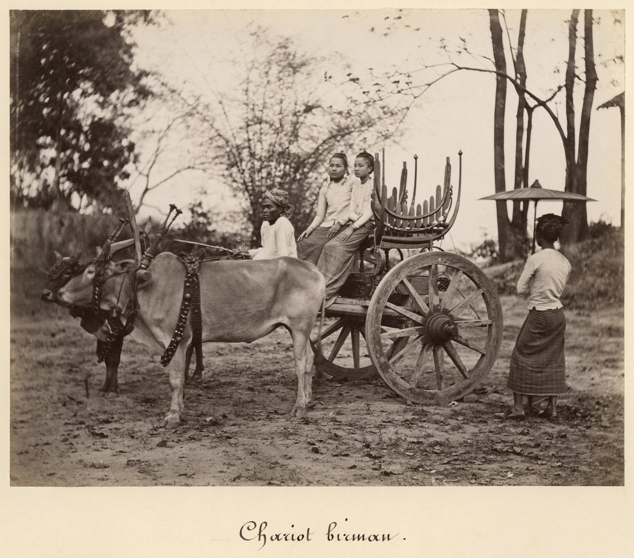 Carrinho puxado por dois bois em Mandalay, Birmânia, c.1885 (impressão de albumina de um negativo de vidro) de English Photographer