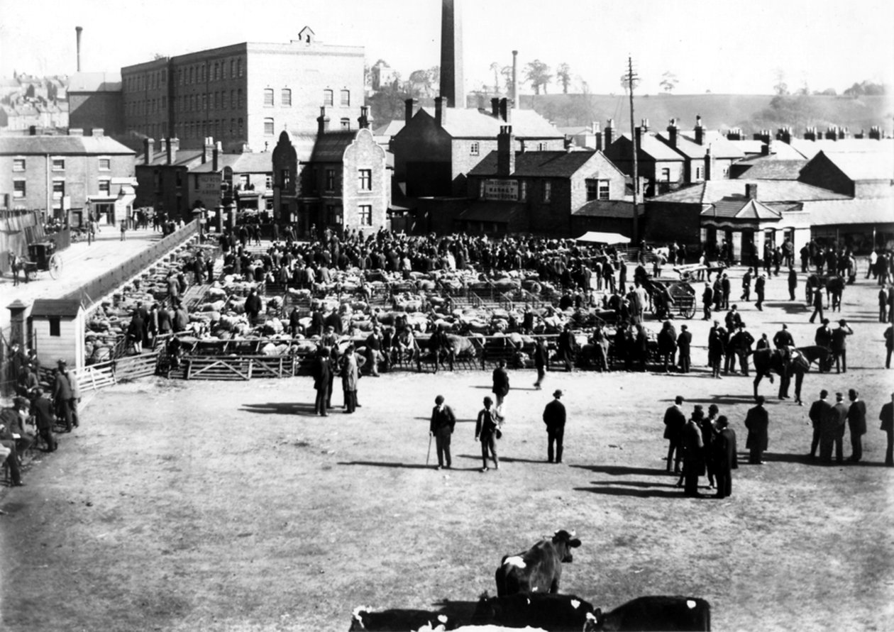 Mercado de gado e atacado, Kidderminster, 1900 de English Photographer