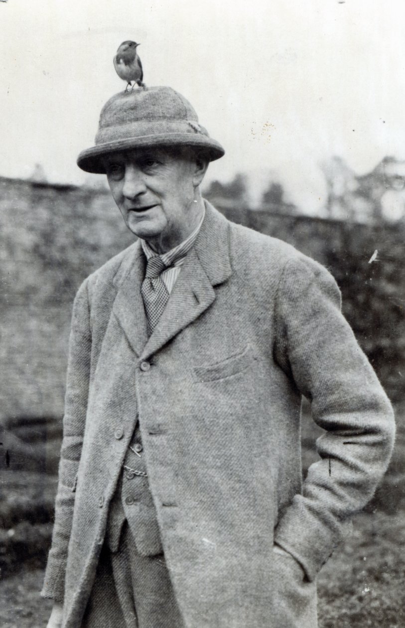 Edward Gray, 1º Visconde Cinzento de Fallodon de English Photographer
