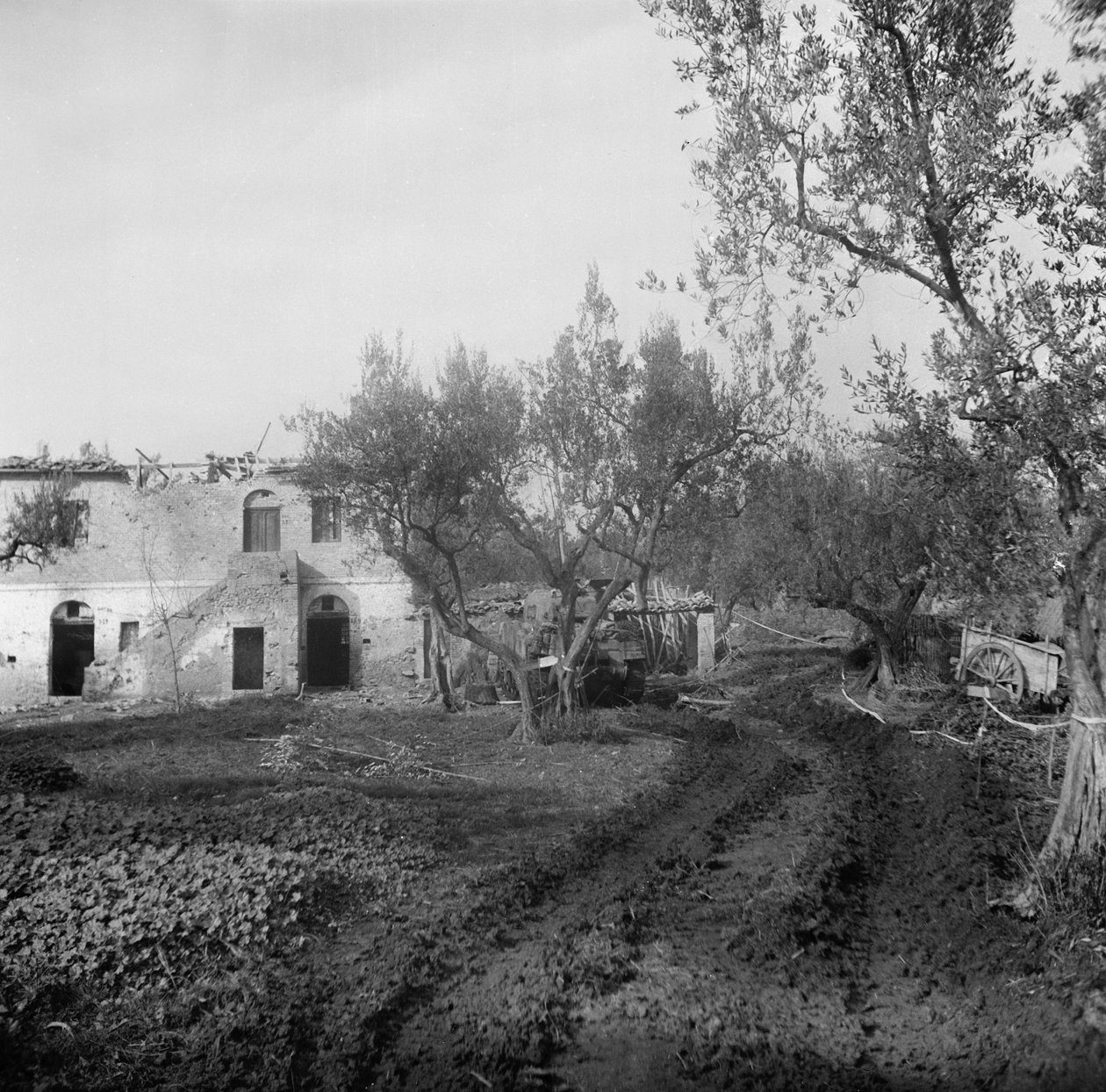 Entrada para a pista, através de um campo minado, levando até o cume Licolle, c.1944 de English Photographer