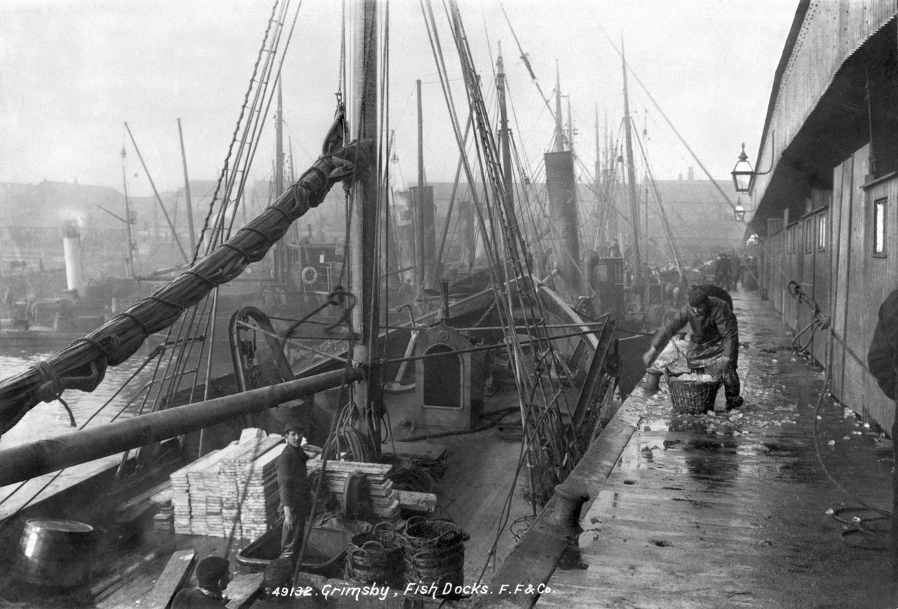 Docas de peixes, Grimsby, início do século XX de English Photographer