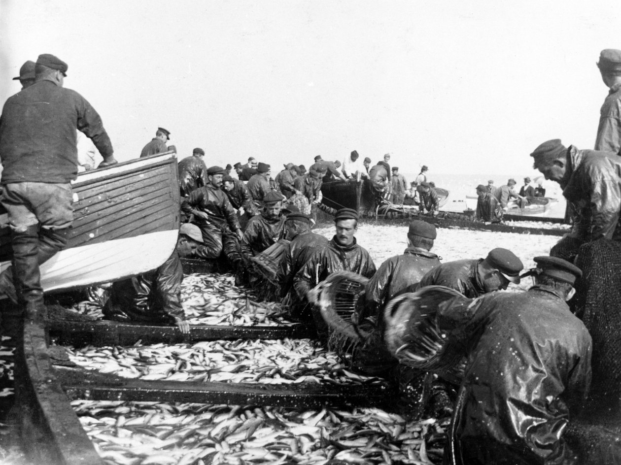 Pescador com sua captura, c.1890 de English Photographer
