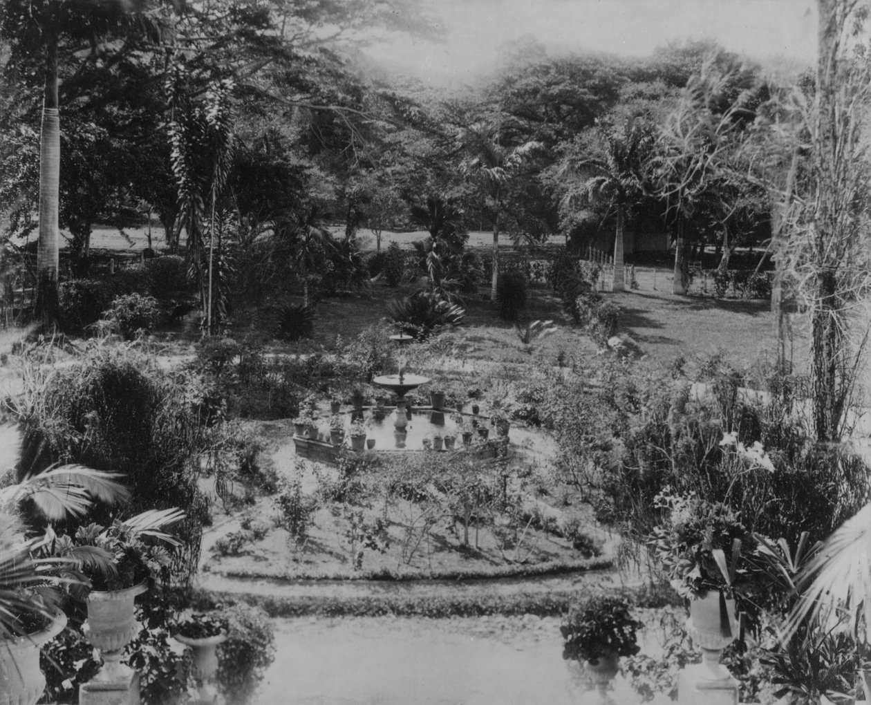 Jardim de uma Villa Suburbana, Porto de Espanha, Trinidad de English Photographer