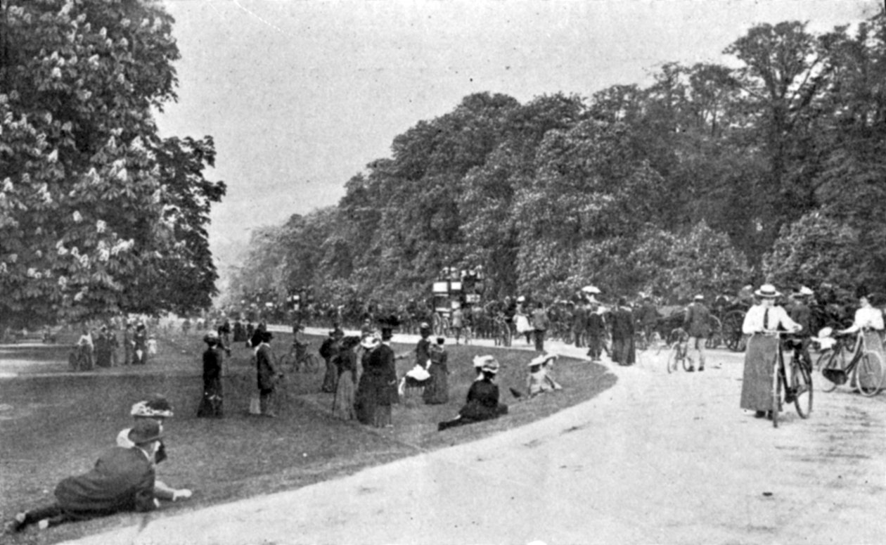Vista geral do Bushey Park, ilustração do Rei, 25 de maio de 1901 de English Photographer