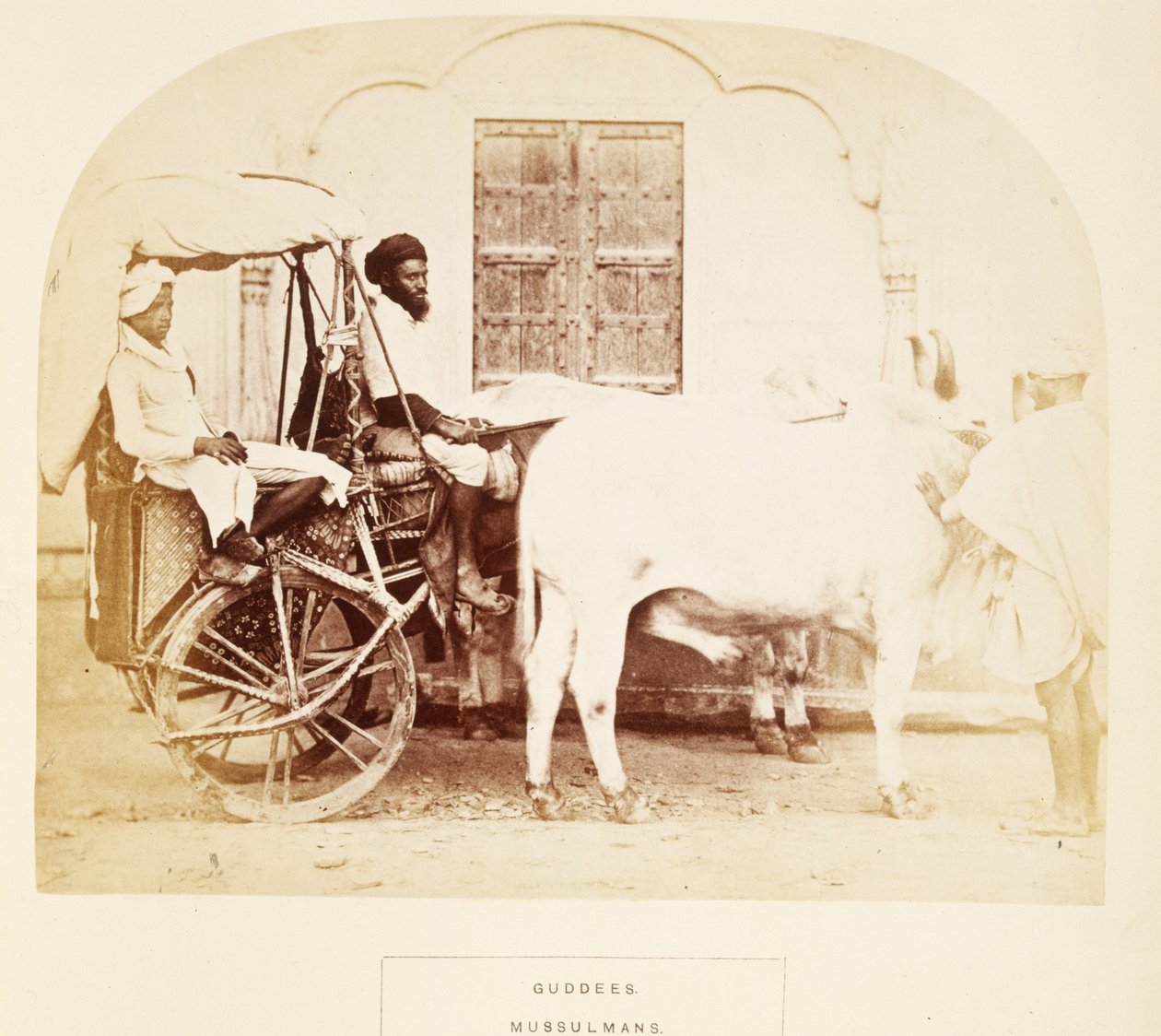 Guddees, Mussulmans, Rajpootana, de The People of India, de J. Forbes Watson, publicado em 1868 (impressão de albume) de English Photographer