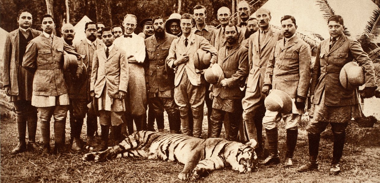 Rei Edward VIIIs Primeiro Tigre, 1921 de English Photographer