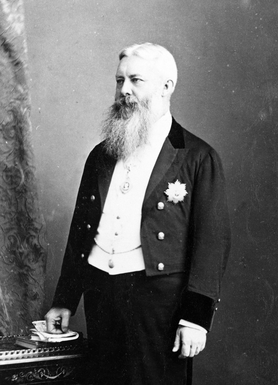 Cavaleiro Grande Comandante da Ordem da Estrela da Índia, c.1870s de English Photographer
