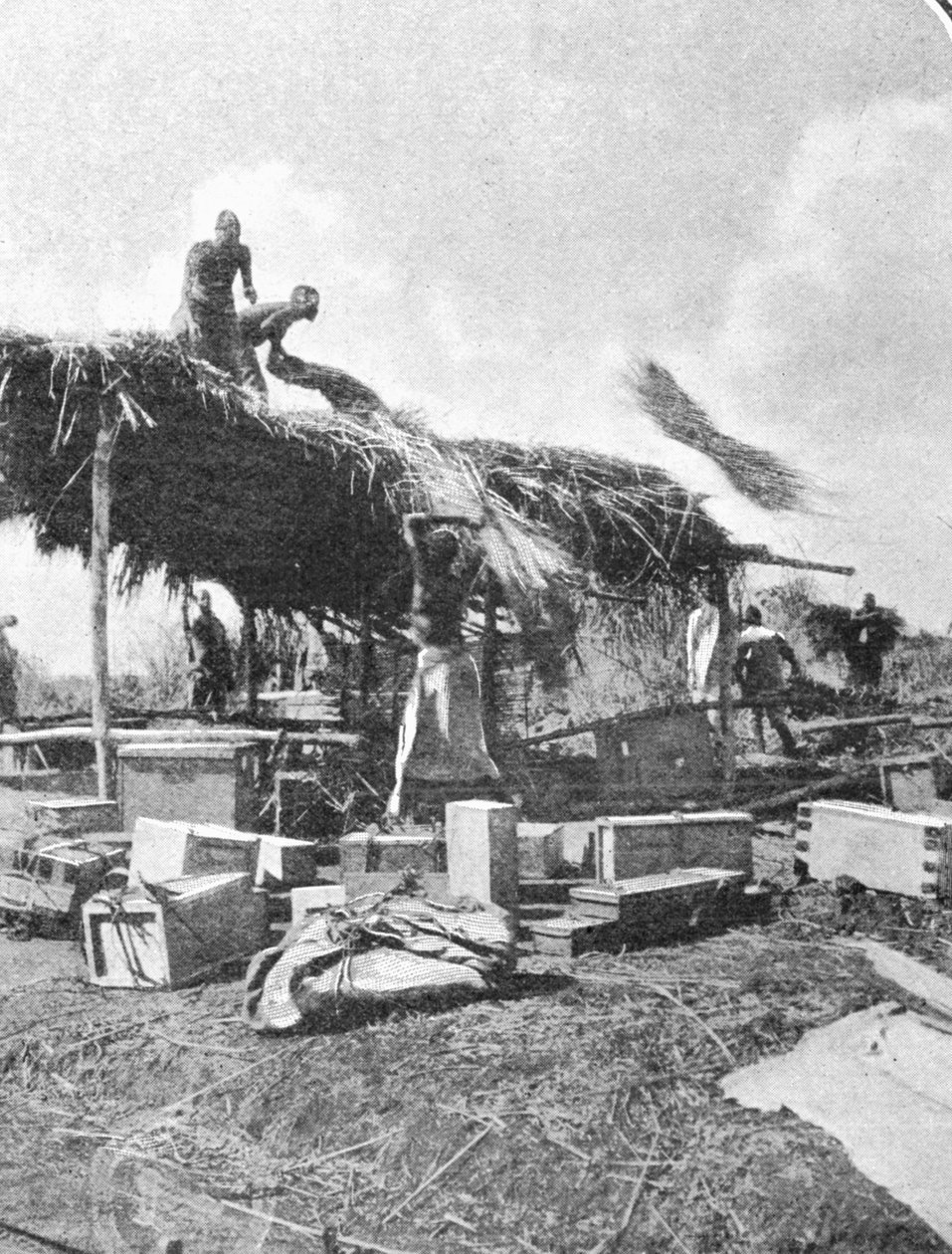 Nativos que constroem uma casa de repouso, de um artigo intitulado às montanhas da lua publicado no gráfico outubro 27o 1906 de English Photographer