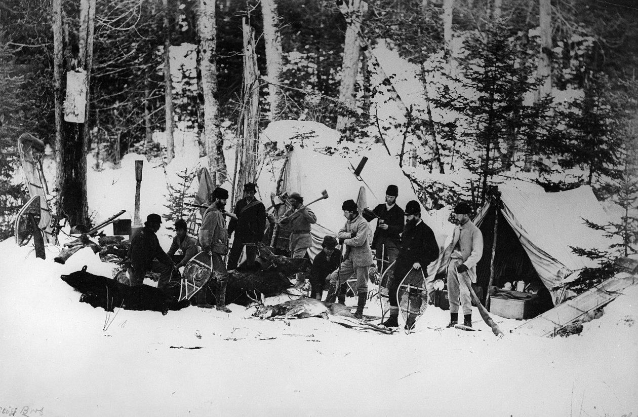 Expedição de caça ao alce do Príncipe Arthurs no Canadá, c.1870 de English Photographer