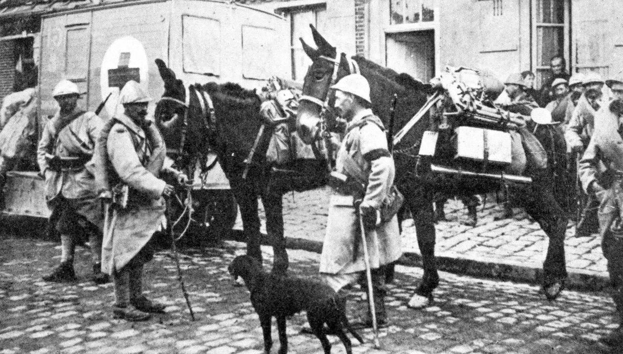 Vagão da Cruz Vermelha durante a Primeira Guerra Mundial de English Photographer