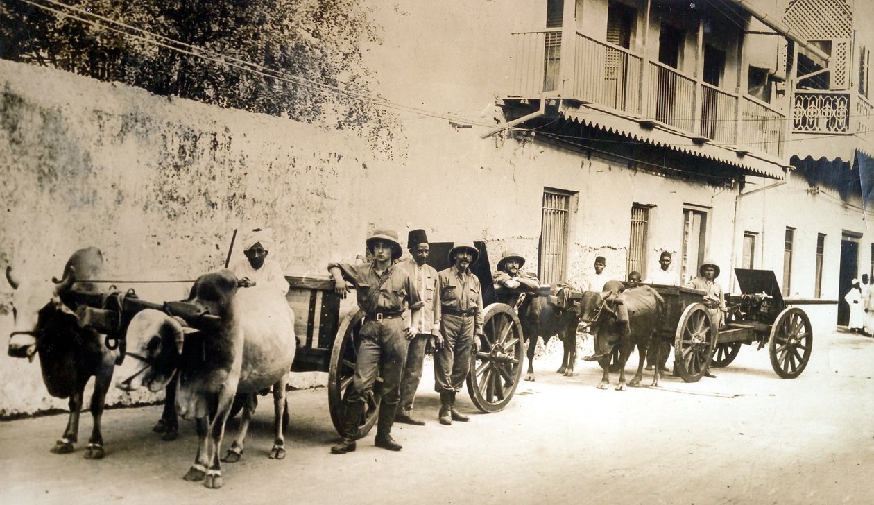 "Armas britânicas recuperadas ainda são úteis", Zanzibar, 1914 de English Photographer