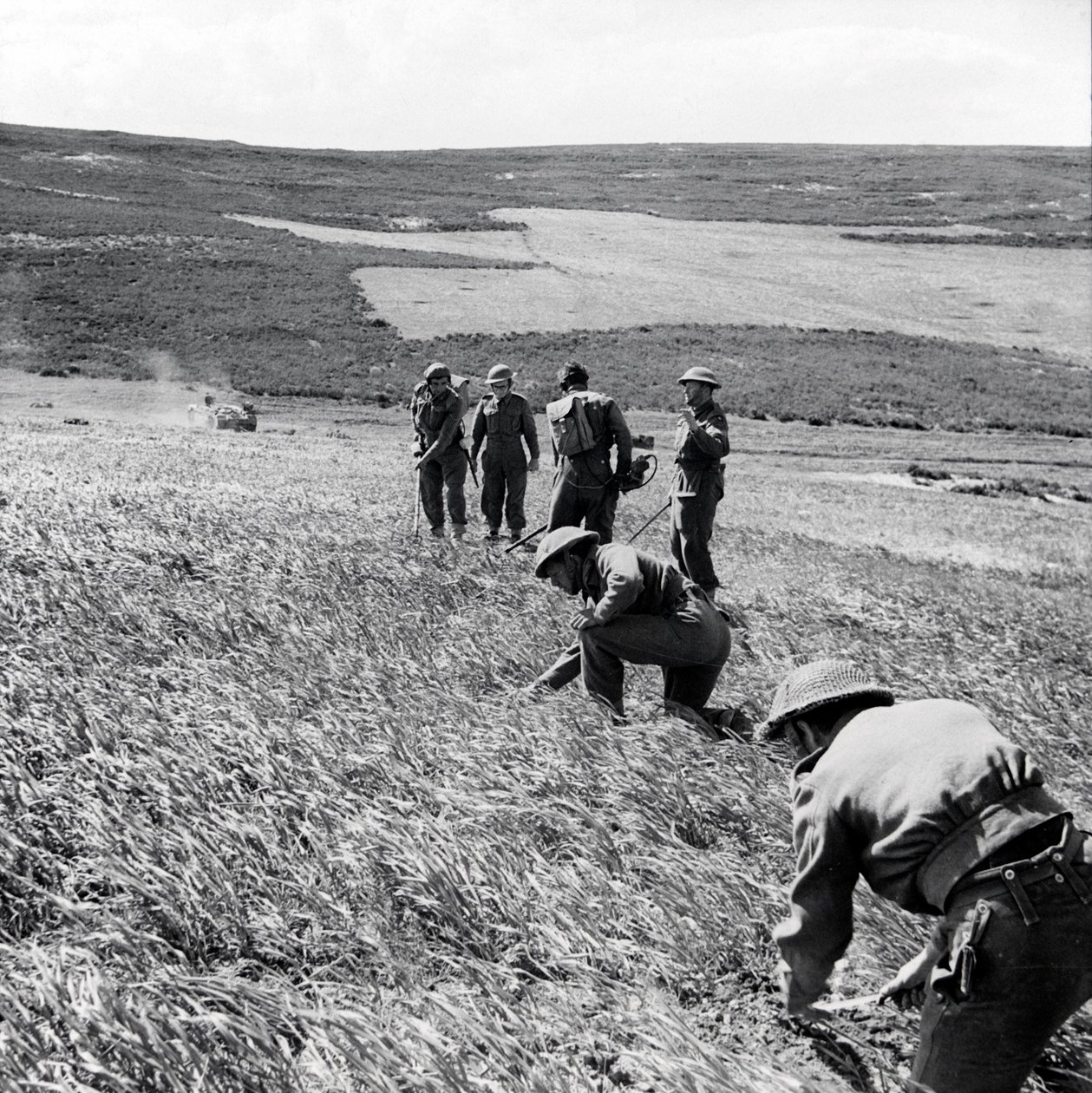 Sapadores da 237 Field Company, Royal Engineers, limpando um campo minado após o ataque dos Primeiros Exércitos a Toukabeur e Chaouach, abril de 1943 de English Photographer