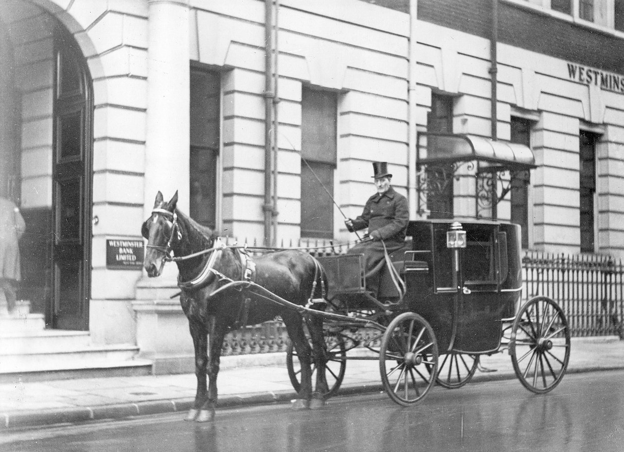 Carruagem com um único cavalo de English Photographer