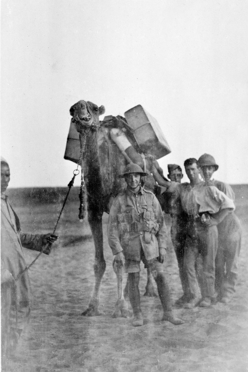 Soldados na Mesopotâmia durante a Primeira Guerra Mundial de English Photographer