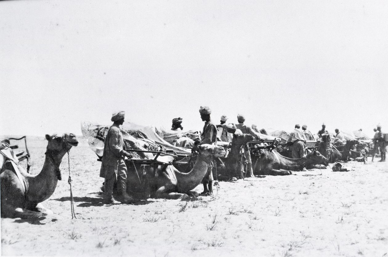 Soldados com camelos na Mesopotâmia durante a Primeira Guerra Mundial, de um álbum compilado pelo tenente Kindom de English Photographer