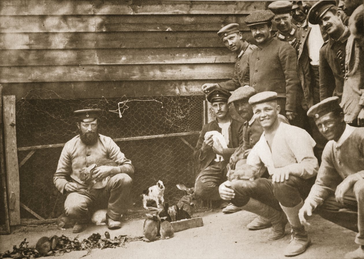 Alguns dos Animais de Estimação dos Prisioneiros, Dorchester, ilustração dos prisioneiros Alemães na Grã-Bretanha (fotogravura) de English Photographer