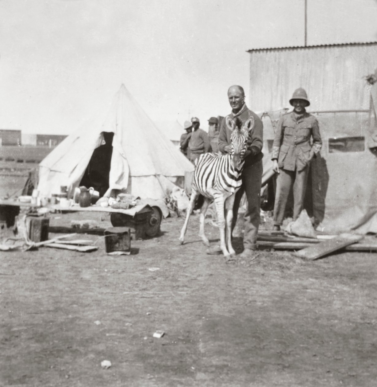 Artilheiros sul-africanos com sua zebra de estimação na África Oriental de English Photographer