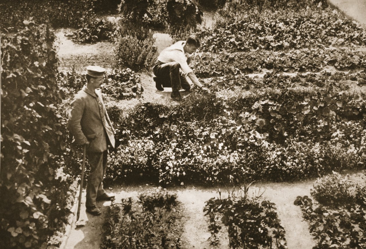 The Prisoners Gardens, Dorchester, ilustração de prisioneiros alemães na Grã-Bretanha (photogravura) de English Photographer