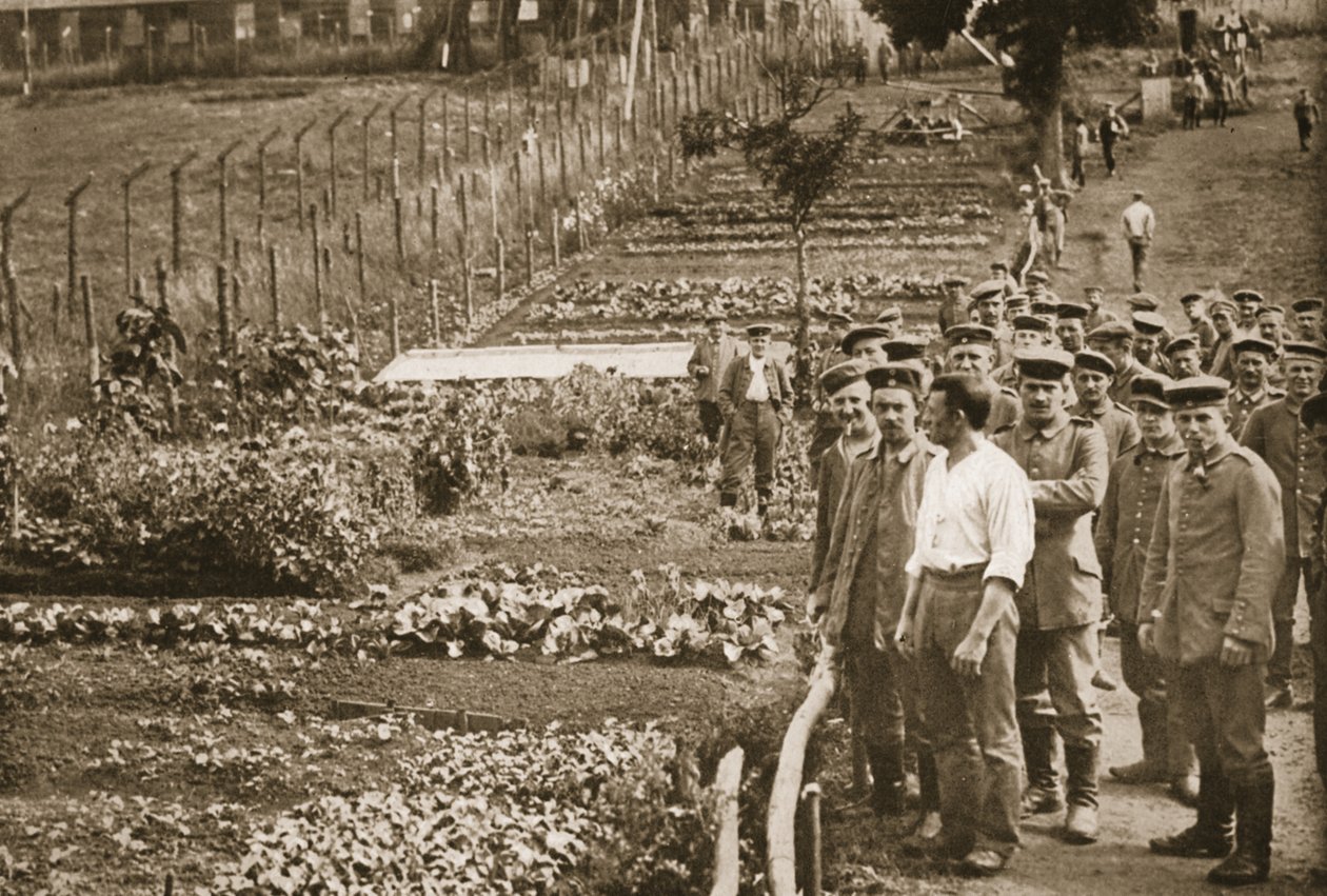 O jardim vegetal, Eastcote, ilustração de prisioneiros alemães na Grã-Bretanha (fotogravura) de English Photographer