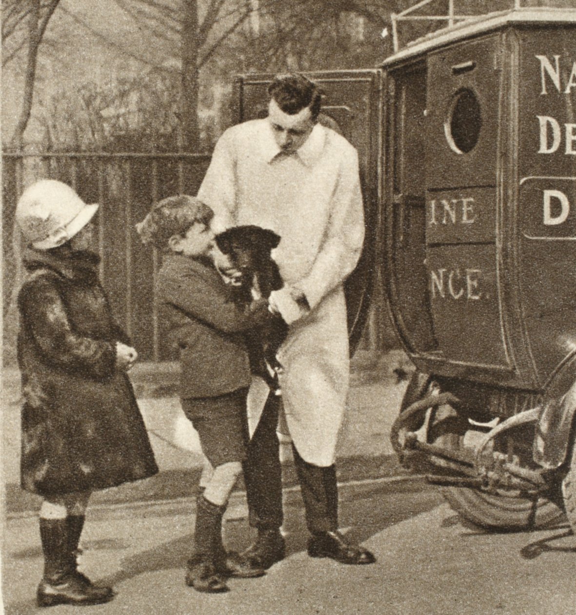 O veterinário da filial de Fulham do The Peoples Dispensary for Sick Animals, de Wonderful London, publicou 1926-27 (fotogravura) de English Photographer