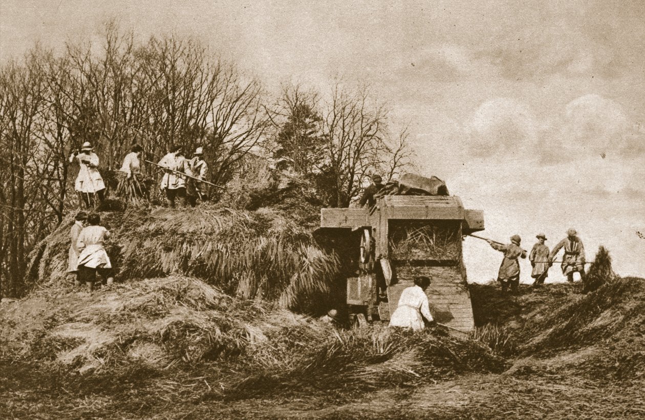 Treinar o Exército das Mulheres na teoria e prática de todos os ramos da agricultura, 1914-19 de English Photographer