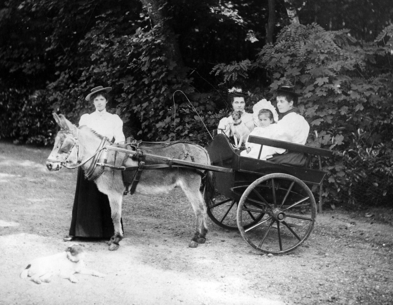 Carrinho de burro vitoriano, c.1890 de English Photographer