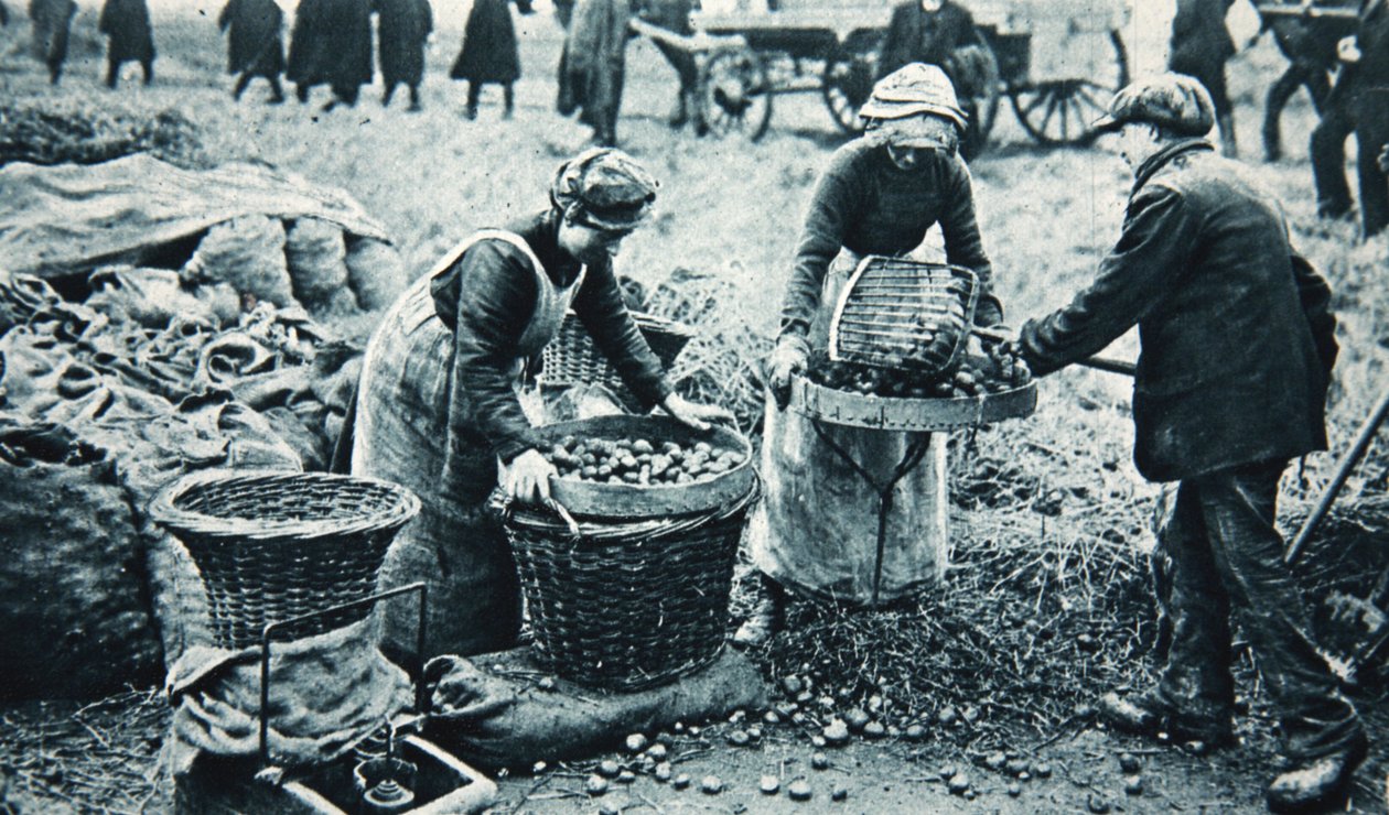 Mulheres War-trabalhadores na terra, ilustração do The Illustrated War News, 7 de março de 1917 (foto sépia) de English Photographer