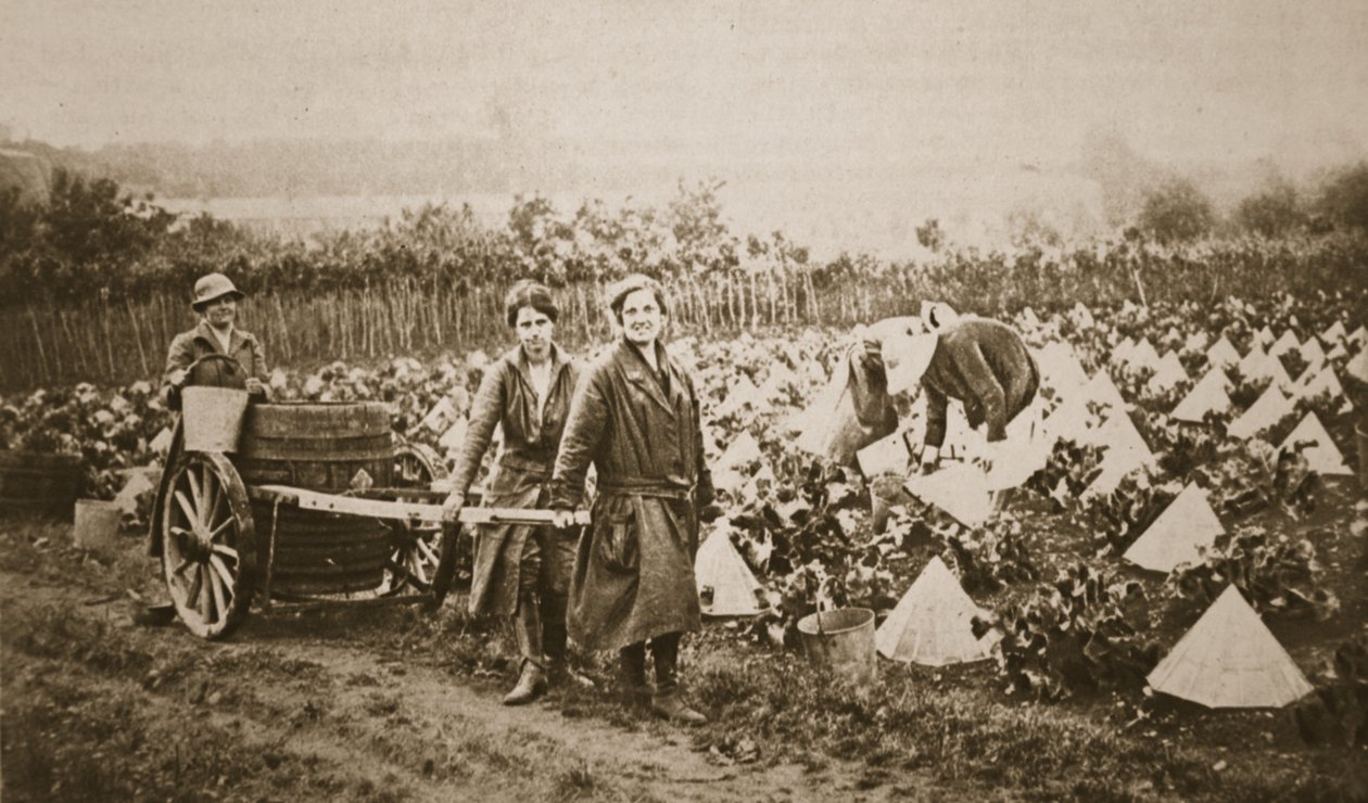 Mulheres na terra: algumas cenas interessantes em Evesham, do The Illustrated War News, 28 de junho de 1916 (foto sépia) de English Photographer