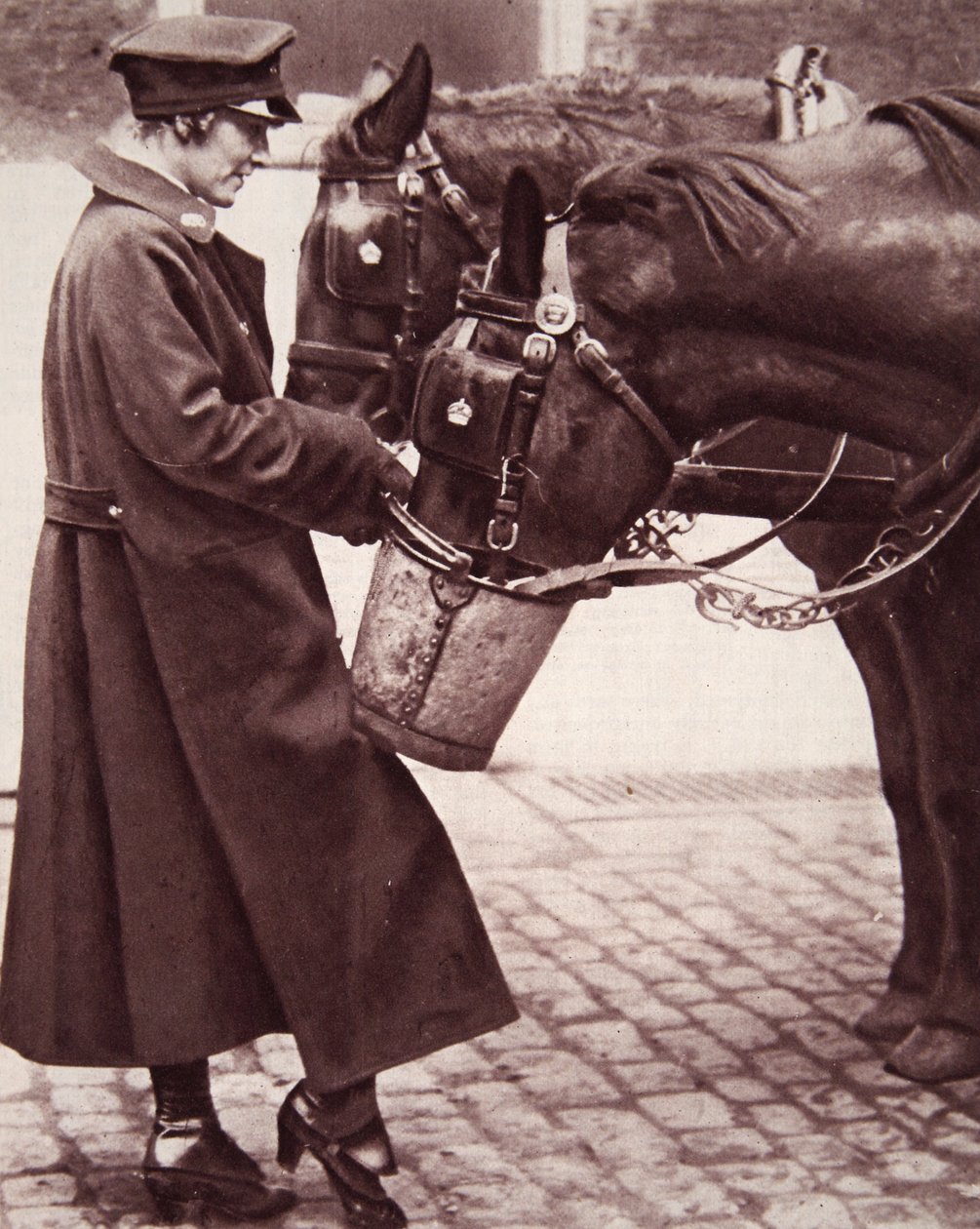 Trabalhar para mulheres com conhecimento de cavalos, ilustração do The Illustrated War News, 7 de março de 1917 (foto sépia) de English Photographer