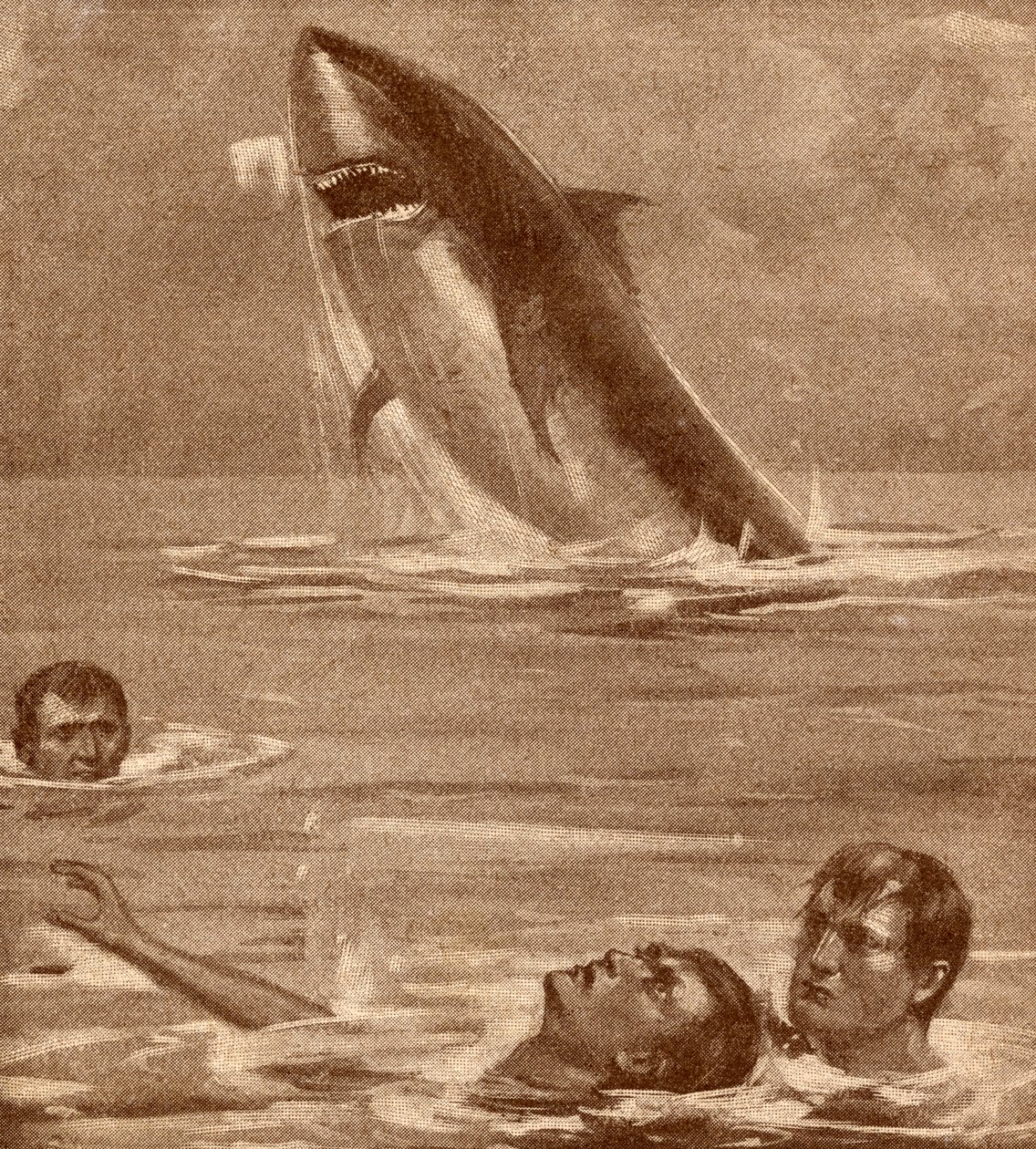 Ilustração do século XIX de um homem resgatando um nadador com um tubarão no fundo de English School