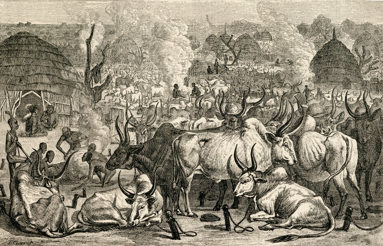 Um parque de gado Dinka, no sul do Sudão, África, de "Os habitantes do mundo" por GT Bettany, publicado em 1888 de English School