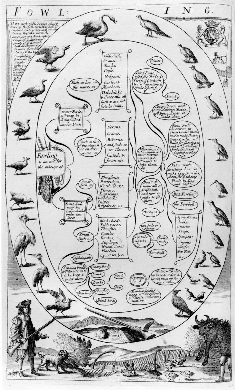 Um guia para a caça à ave, de &39;The Gentleman&39;s Recreation&39; publicado por Richard Blome, 1686 de English School