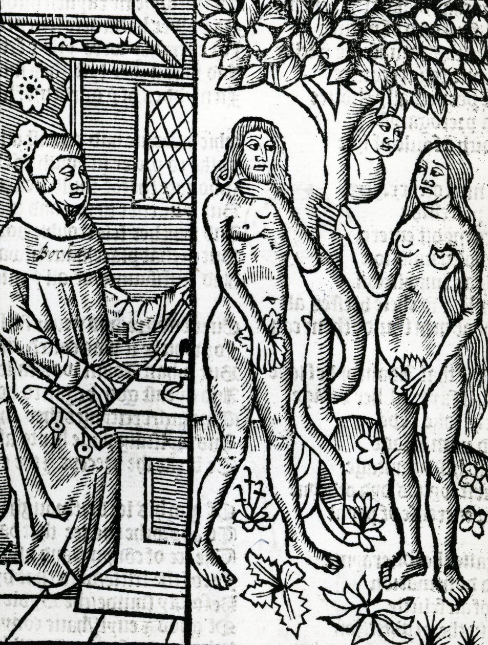 Adão e Eva, da tradução de John Lydgate de Boccaccio de "Os casos em homens lllustrium de 1527 de English School