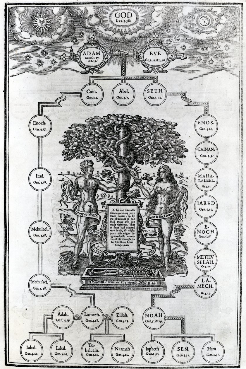 A árvore genealógica de Adão e Eva, 1556 de English School
