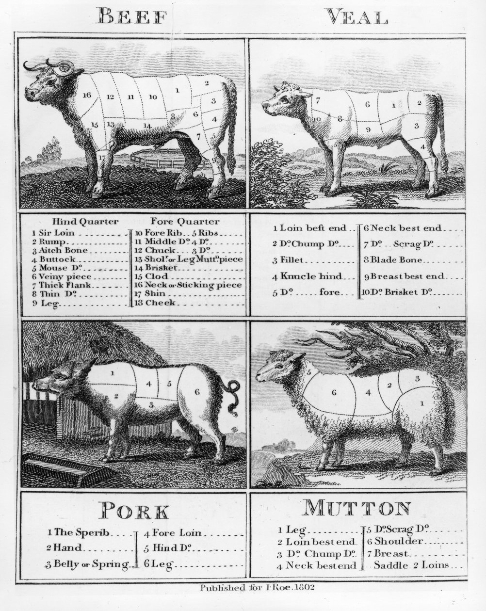 Carne, carne de vitela, carne de porco e cortes de carne de carneiro, 1802 de English School