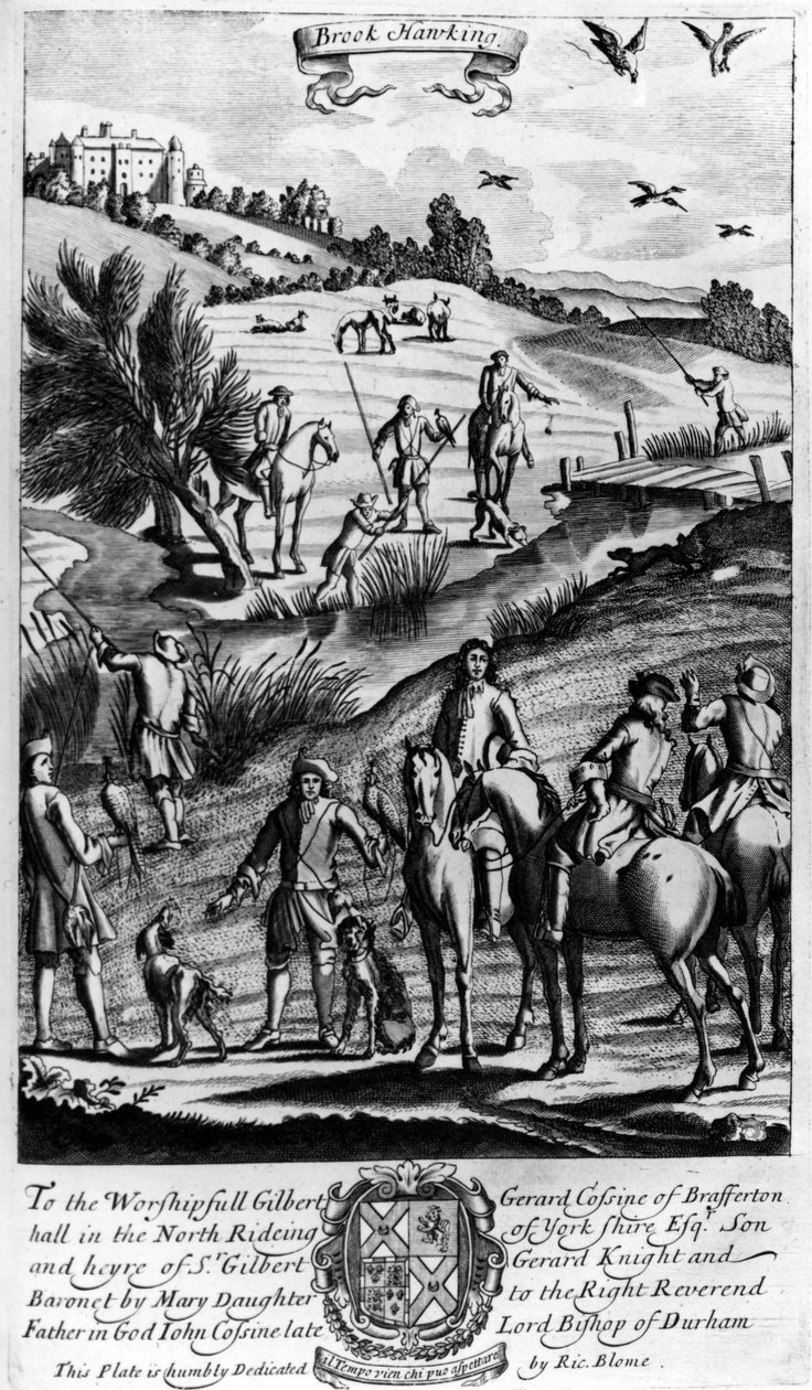 Brook hawking, de &39;The Gentleman&39;s Recreation&39; publicado por Richard Blome, 1686 de English School