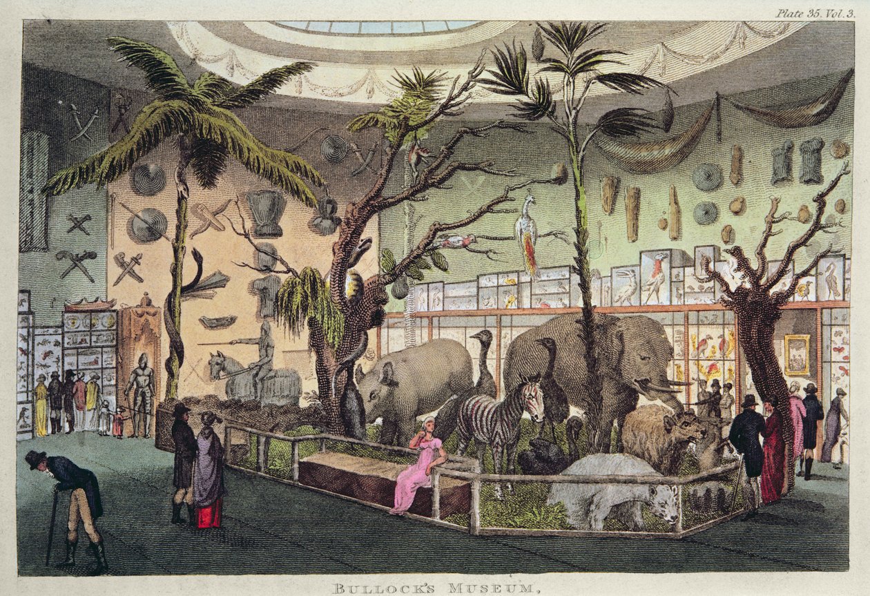 Museu Bullock (gravura a cores) de English School