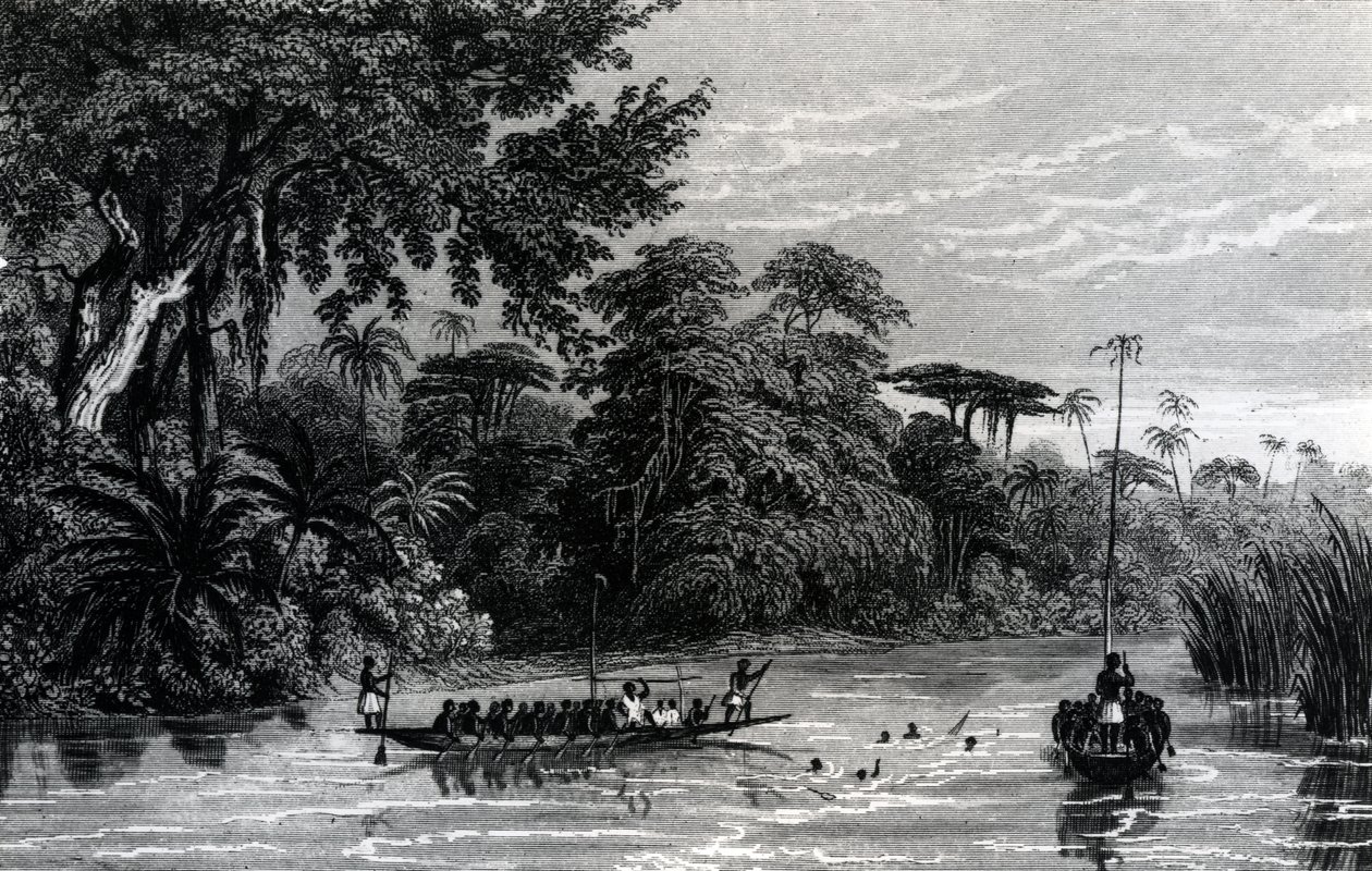 Canoas no rio Níger de English School