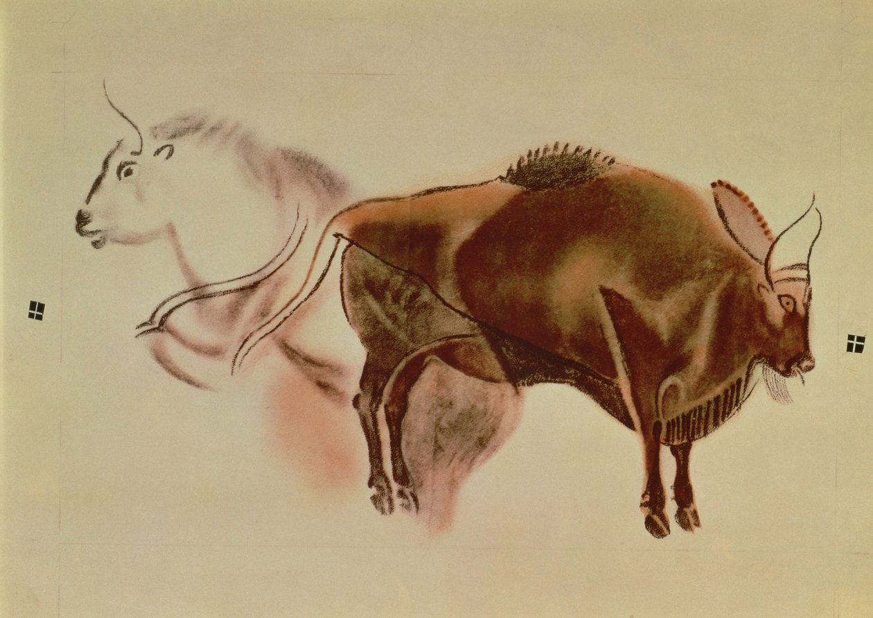 Cópia de uma pintura rupestre de dois bisontes de c.15000 aC (pastel sobre papel) de English School