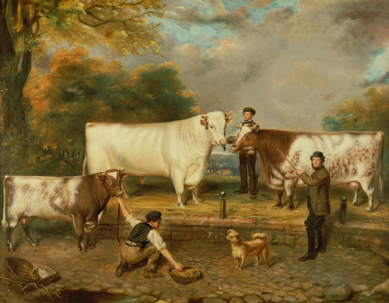 Vacas com um pastor (impressão) de English School