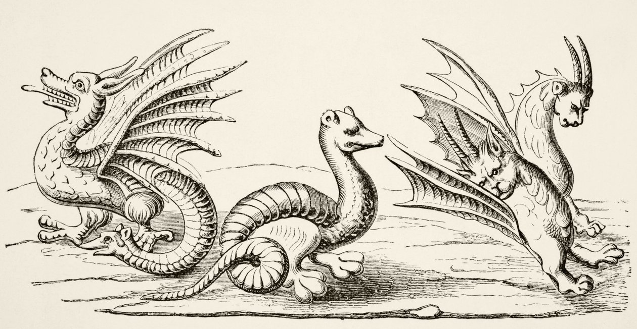 Dragões, depois de miniaturas no século 14 "Livro das Maravilhas do Mundo", de "Ciência e Literatura na Idade Média" por Paul Lacroix, 1878 de English School