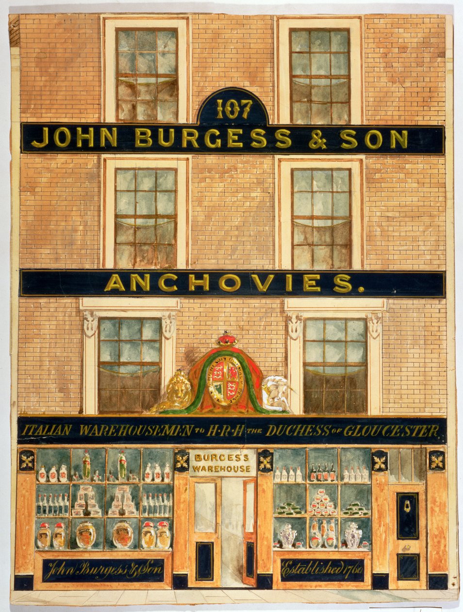 Fachada de John Burgess & Son, Warehousemen para a Duquesa de Gloucester (wc no papel) de English School