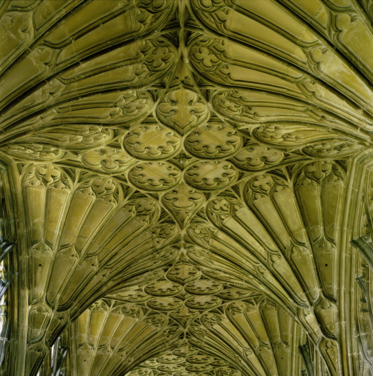 Abóbada de fãs no claustro de English School