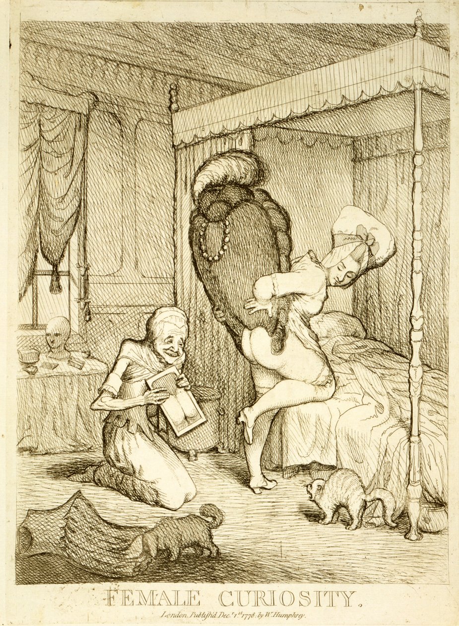 Curiosidade Feminina, 1778 de English School