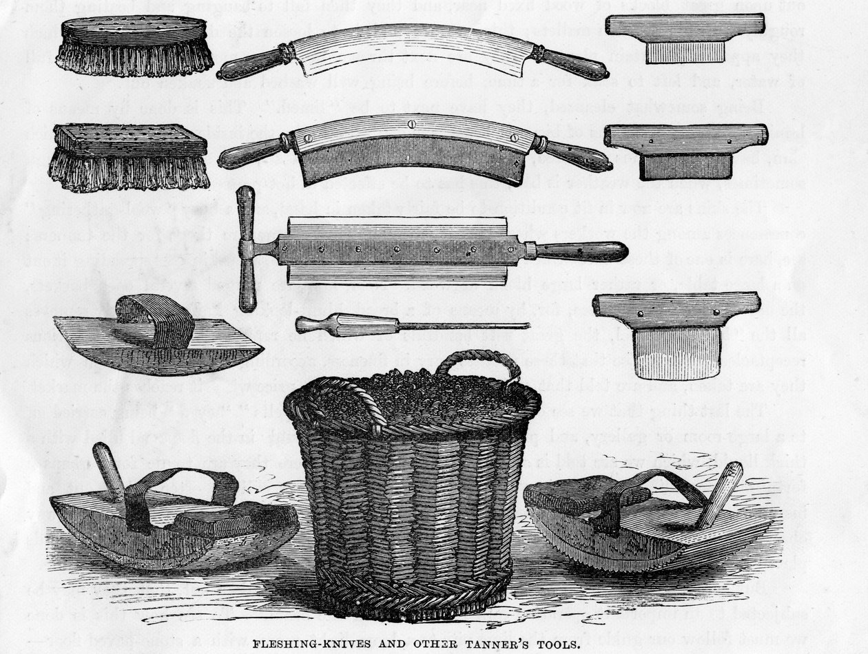 Facas de Fleshing e outras ferramentas do curtidor de English School