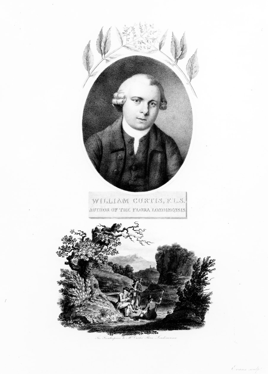 Frontispício de &39;Flora Londinensis&39;, com um retrato do autor William Curtis, edição publicada em 1802 de English School